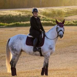 Meet your Posher, Elisha